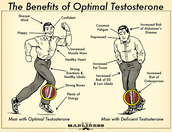 effets de testosterone
