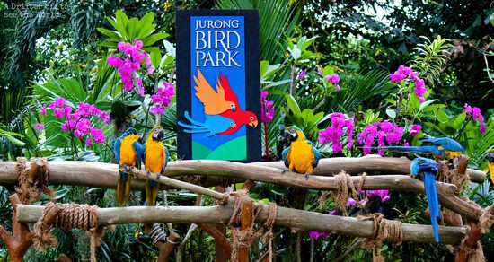 Le Parc aux Oiseaux de Jurong