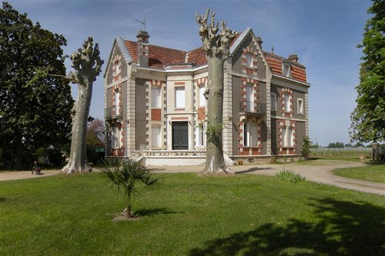 Saint-Émilion Visites de 2 châteaux