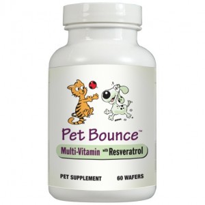 pet bounce vitamines pour chien