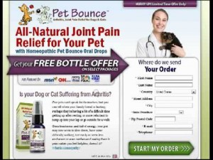 site web de pet bounce